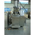 THP-100T Tablet Press Machine